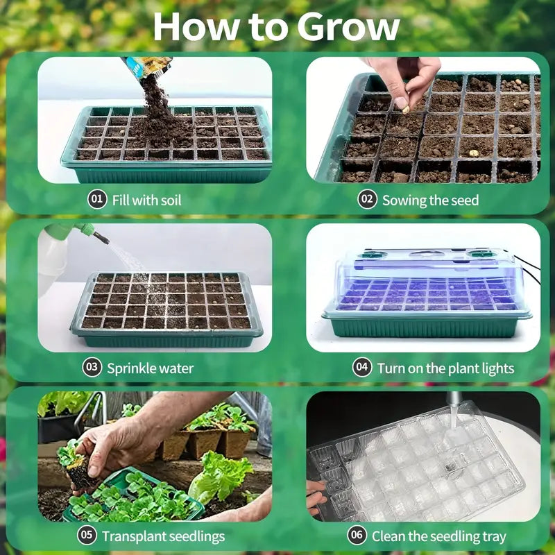 DIY At Home Seed Germination Kit