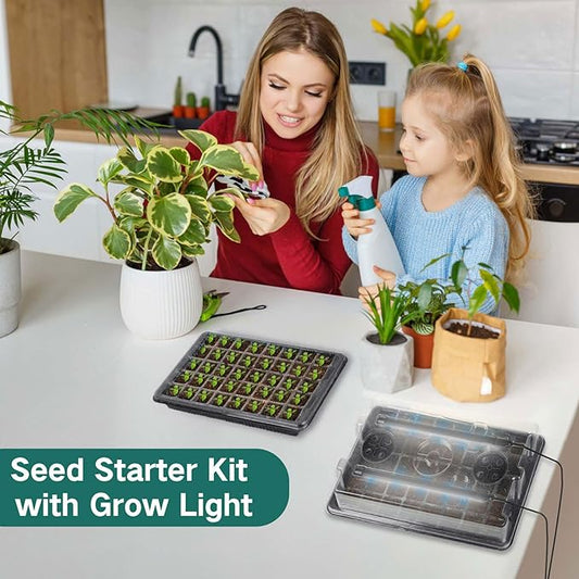 DIY At Home Seed Germination Kit