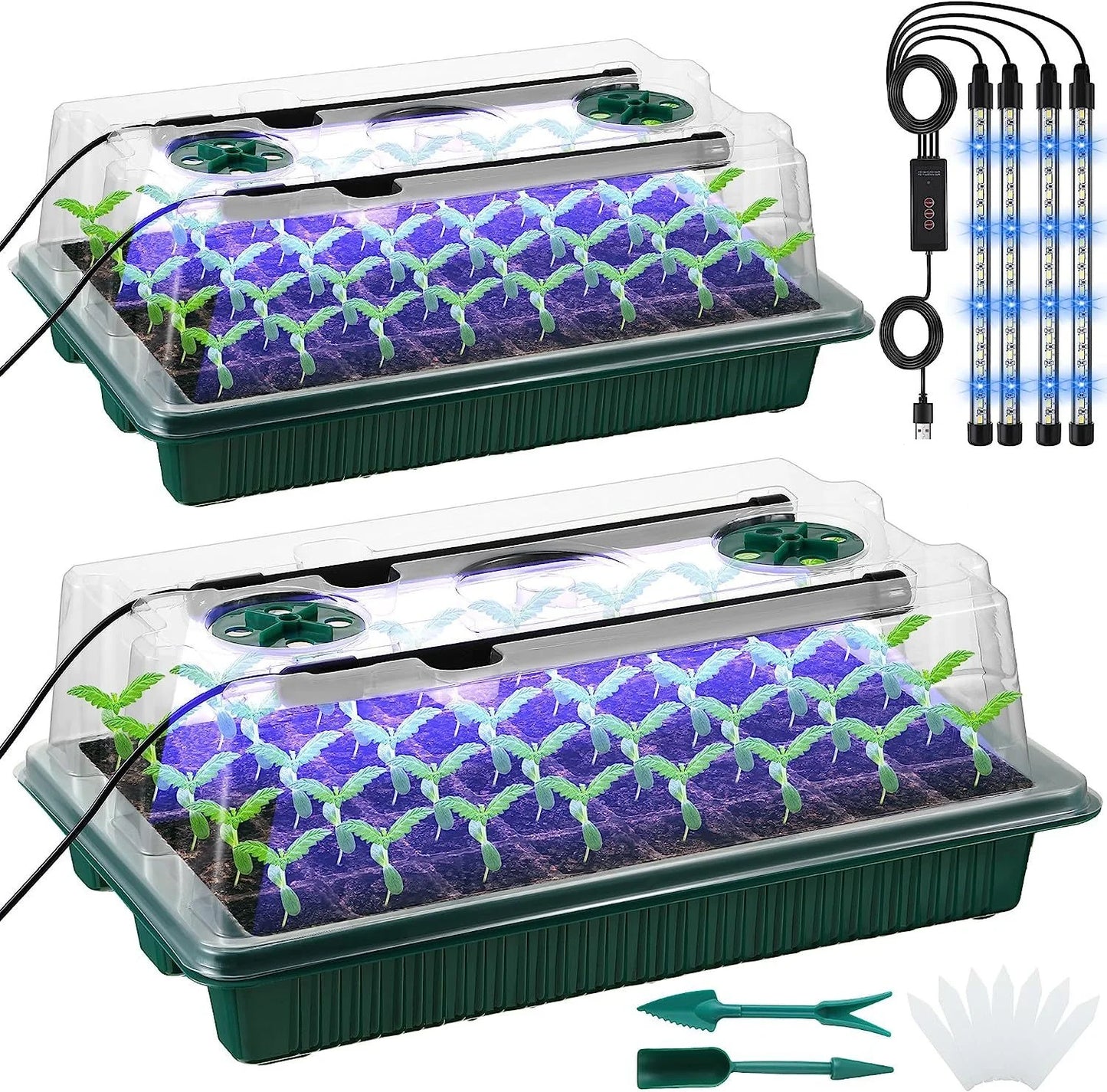 DIY At Home Seed Germination Kit